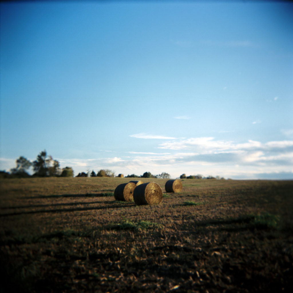 hay holga